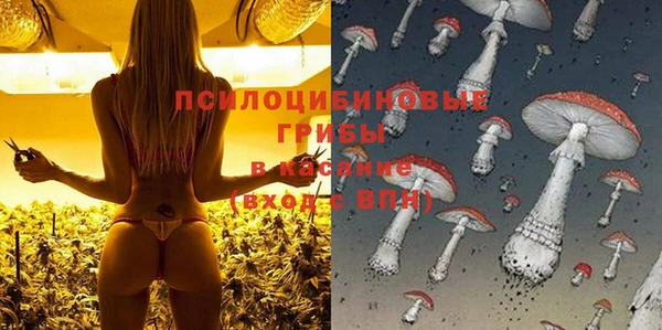 крисы Аркадак