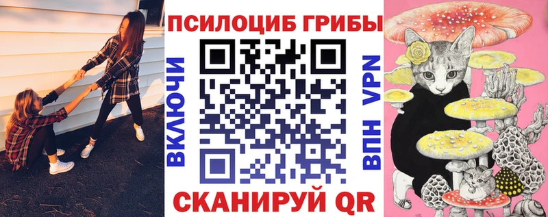 Псилоцибиновые грибы мухоморы  Сольцы 